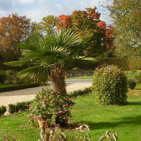 Gite "La Bournilliere" Vicq-sur-Nahon Exterior foto